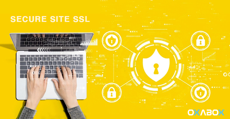 DO I NEED AN SSL CERTIFICATE FOR MY WEBSITE?